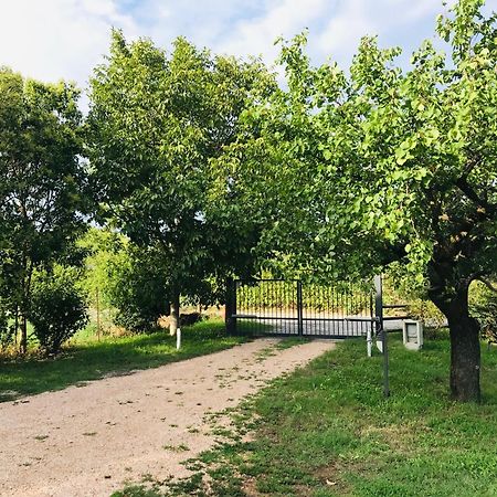 Una Casa Di Campagna Dossobuono Ngoại thất bức ảnh