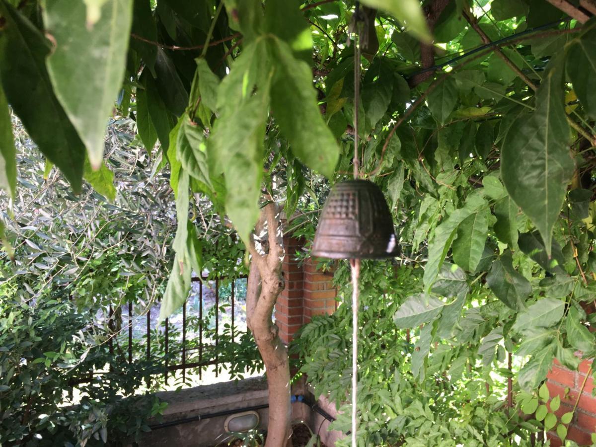 Una Casa Di Campagna Dossobuono Ngoại thất bức ảnh