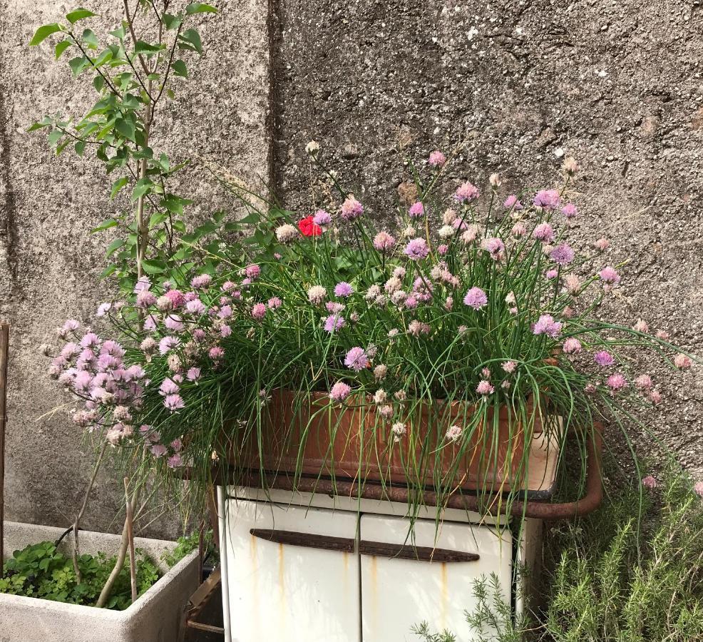 Una Casa Di Campagna Dossobuono Ngoại thất bức ảnh