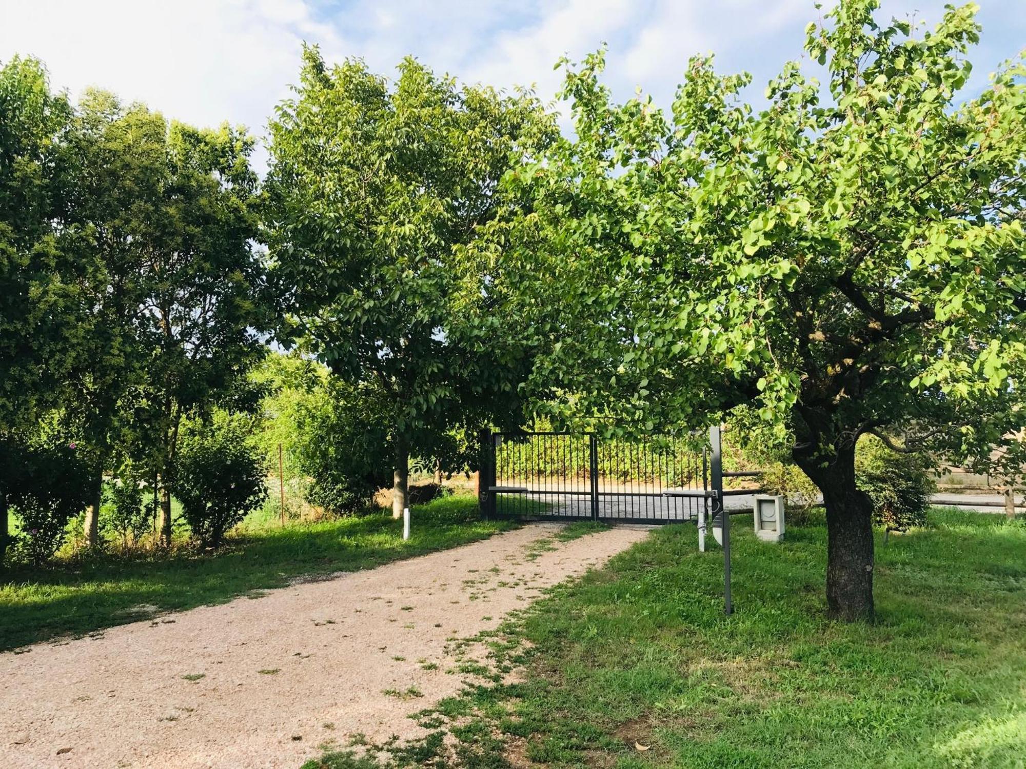 Una Casa Di Campagna Dossobuono Ngoại thất bức ảnh